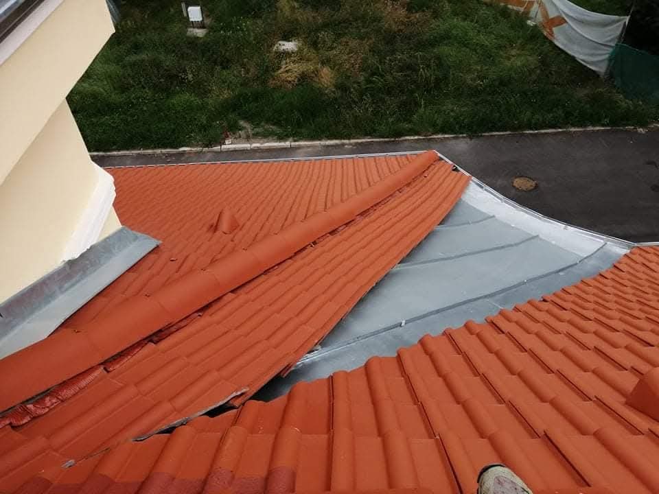 FB_IMG_1742296444838