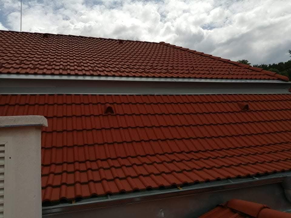 FB_IMG_1742296457403